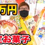 【限定景品?!】クレーンゲーム３万円でお菓子取り放題したら一体何個取れるのか?!