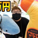 【真夏】クレーンゲーム1万円で夏っぽいものを限界で何個とることが出来るのか? !夏休みに遊びたいものを全力でとる！！