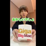 【1000kcal】ギガビッグマックやば過ぎんか？