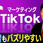 【TikTokマーケティング①】新規参入者にチャンス到来！動画がバズればモノやサービスが売れる時代