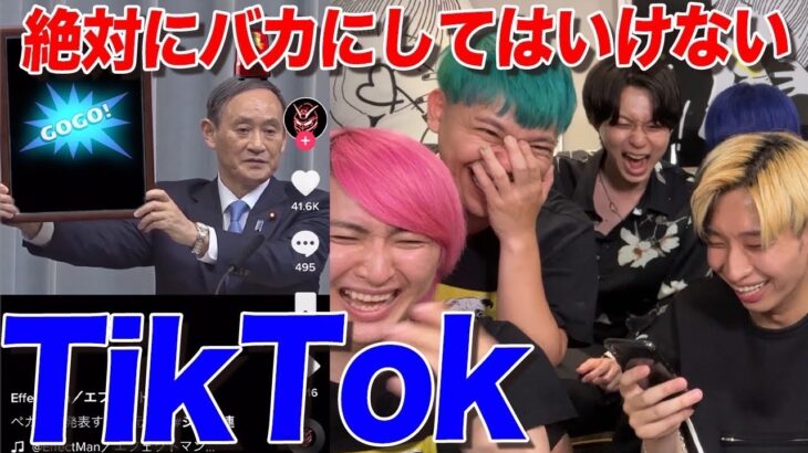 【削除覚悟】絶対にバカにしてはいけないTikTok【ネクステ】