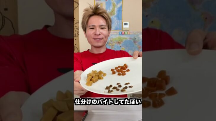 ボンカレーの肉何gか計るホイ!!🍖　PDS  #shorts