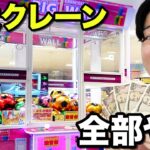 【約200台】世界一巨大なクレーンゲームがあるゲーセンで全台制覇したら盛り上がりすぎたwwww