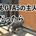 【もしもGTA5の主人公が猫だったら】GTA5実況グラセフMOD検証