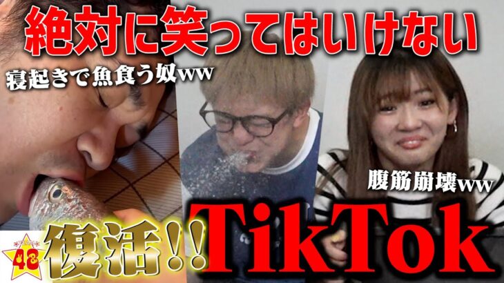 【復活】神企画シリーズ！絶対に笑ってはいけないTikTok!! 【第1弾】