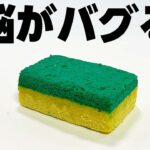 脳がバグる食べ物があるらしい。 #shorts