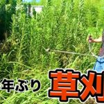 半年ぶりに別荘来たら物が盗まれ….【草刈り】　　PDS