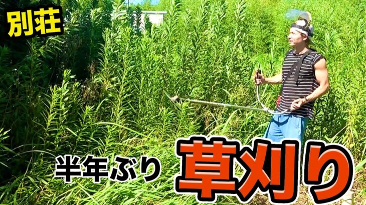 半年ぶりに別荘来たら物が盗まれ….【草刈り】　　PDS