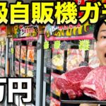 【高級焼肉ガチャ】3万円で超高級自販機ガチャを全種類買って食べ切るまで帰れませんで大当たり出たwww【焼肉、韓国料理、キャビア】