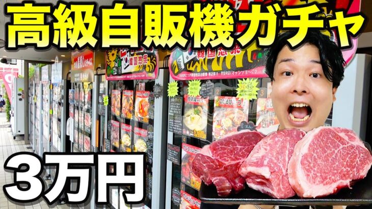 【高級焼肉ガチャ】3万円で超高級自販機ガチャを全種類買って食べ切るまで帰れませんで大当たり出たwww【焼肉、韓国料理、キャビア】