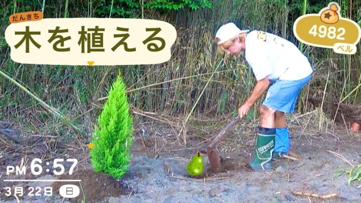 別荘に木を沢山植えるぞい!!　PDS