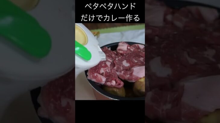 ペタペタハンドだけでカレーを作る少年(◍◉౪◉◍)’`’`,､　　PDS　　#shorts