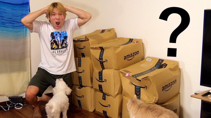 amazonから大量に商品が来てしまった…【地獄】  PDS