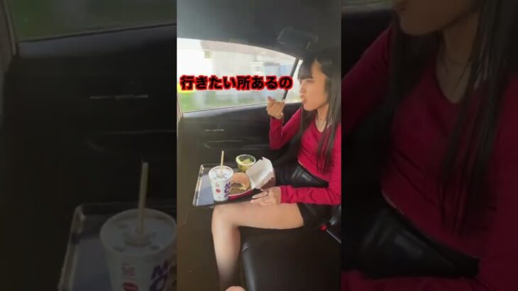 妹が車でマクドナルド食べてる最中に急ブレーキしてみた【ドッキリ】 #shorts