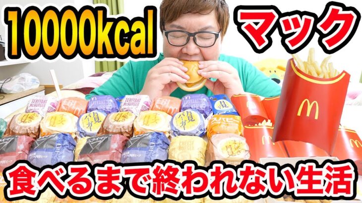 【大食い】朝からマックで10000kcal食べるまで終われない24時間生活したら流石に過酷すぎたwww