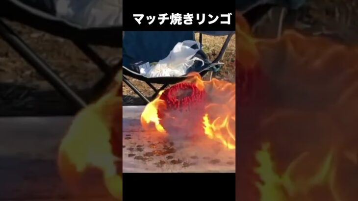 リンゴにマッチ刺しまくって焼きリンゴ!!　PDS　#shorts