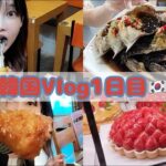 【韓国Vlog】夕方に到着して食べまくり！トッポギ、カンジャンケジャン食べ放題、バニーコンボチキンソルロンタン…etc【木下ゆうか】