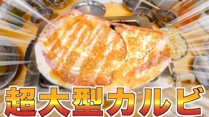 【焼肉】カルビ頼んだらヤバいサイズの肉出てきたんだけどwww