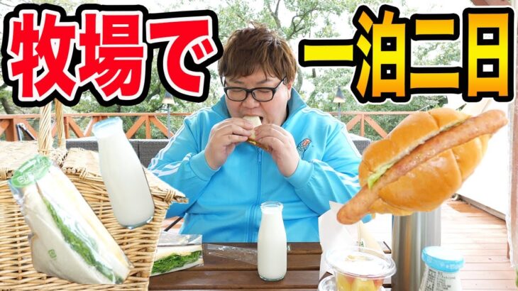 【牧場に泊まろう!!】親友と1泊2日マザー牧場のグランピング!!果たして早朝の牛の乳搾りとアルパカのお散歩に間に合ったのか?!