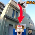 3階からみかんを落としてかがみもちを完成させろ！！！【謹賀新年】