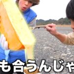 【巨大】ラクレットチーズってどんな食べ物にも合うんじゃね？