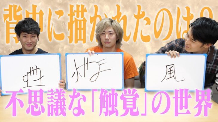 【不思議】1番｢敏感｣なのは誰だ！触覚クイズ！