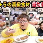 【大食い】1万円で星5の高級食材が当たる自販機ガチャに挑戦したら大当たりを出すことが出来るのか?!