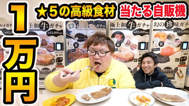 【大食い】1万円で星5の高級食材が当たる自販機ガチャに挑戦したら大当たりを出すことが出来るのか?!