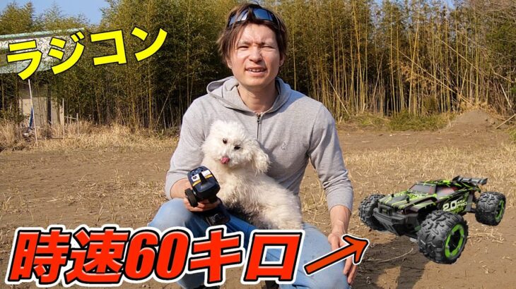 時速60kmで走るラジコンをamazonで買ったぞぉ！！【ホンマでっか？】(。^-‘)v  PDS