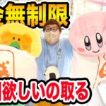 【お金無制限!!】クレーンゲームで久々に欲しい物１０個とったら過酷だったけど、店員さんと信頼が生まれた！