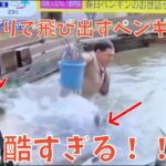 オードリー春日が生放送中動物園でバカッター！？動物園側がテレビ局に激怒！