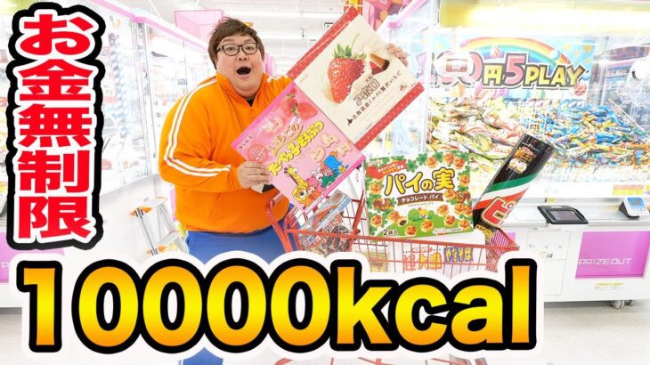 【お金無制限!!】クレーンゲームの景品で10000kcal取るまで帰れません！に挑戦したら一体いくらかかるのか?!