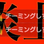 【東欧のもこう】確実に炎上する企画：チーミングしずえ。【マリオカート8DX】