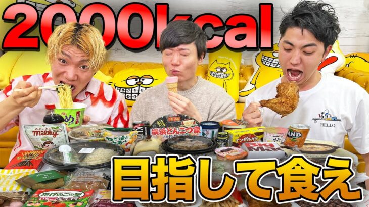 2000kcalちょうどを目指して大食いしろ！ピタリ当てたら100万円！【ラーメン、牛丼、マクドナルド】