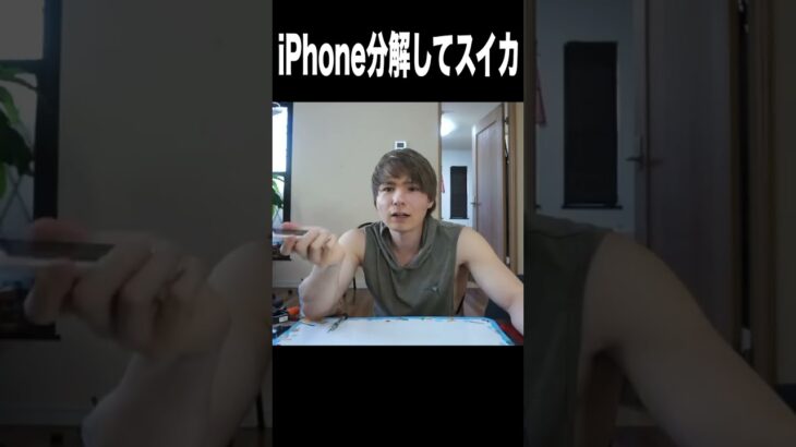 iPhone分解してスイカ入れるニキ＼( ‘ω’)／　PDS  #shorts