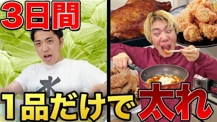 【３日間】キャベツと鶏肉どっちの方が多く食べることができるのか？