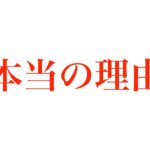 【東欧のもこう】なぜ休んでいたか。【マリオカート8DX】