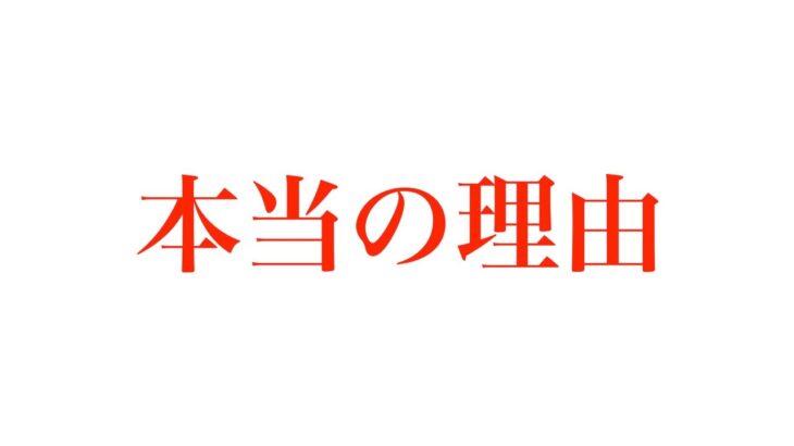 【東欧のもこう】なぜ休んでいたか。【マリオカート8DX】