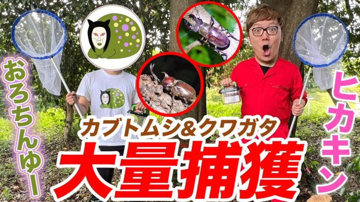 ヒカキン×おろちんゆーで本気の虫取り&森林伐採で奇跡が!?