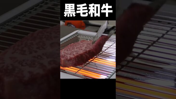 電気ストーブで黒毛和牛焼くニキ　PDS　　#shorts