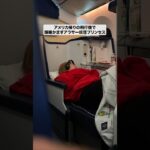 飛行機でクセが強い夢を見るアラサー妖怪プリンセス　#平成フラミンゴ