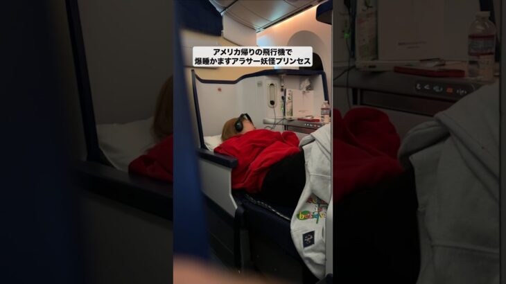 飛行機でクセが強い夢を見るアラサー妖怪プリンセス　#平成フラミンゴ