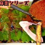 【大食い】麻薬茄子12人前！卵と違って10分つけ込むだけで完成ご飯がとまらなくなります【木下ゆうか】