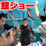 【イルカショー】１日で水族館のショーイベントを完成させることはできるか！？【帰ってきた】