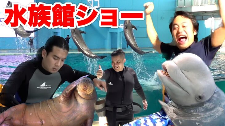 【イルカショー】１日で水族館のショーイベントを完成させることはできるか！？【帰ってきた】