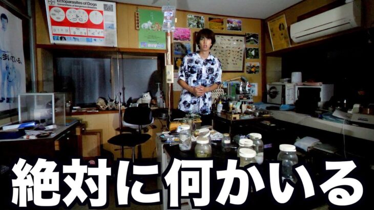 【閲覧注意】ヤバい事件があった廃動物病院に泊まったら、心霊現象が多発した。