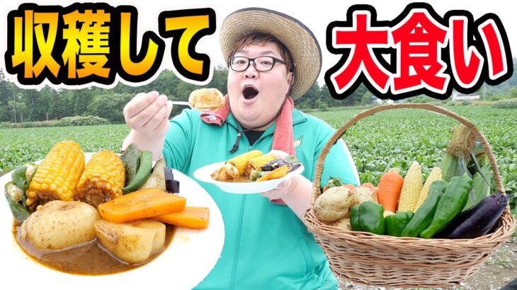 【大食い】農家さんの大量の野菜を収穫してすぐスープカレー作って大食いしたら美味しすぎて最高だったwww