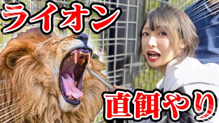 【恐怖】日本一危険な動物園でライオンに直で餌をあげたら大変なことに…！そしてカートで本気の走り！/ノースサファリサッポロ・モーターランド【北海道Vlog】