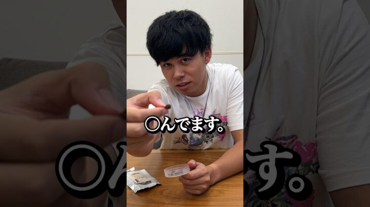 食べれるコオロギを虫が嫌いな人に渡してみたら… #shorts