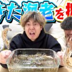 【大発狂】ビビり３人組にエビを生きたまま食べさせたら大暴れして壊れたwwwwww